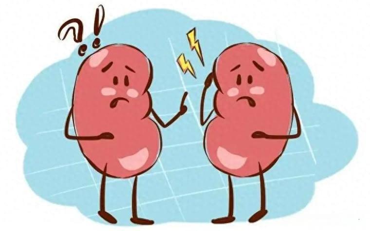 Strengthen the Kidneys Beyond Liuwei Dihuang Pills, Boost th