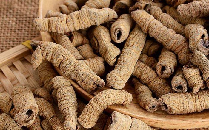 The Overlord Thirteen Spears all strike a man's ancestral si